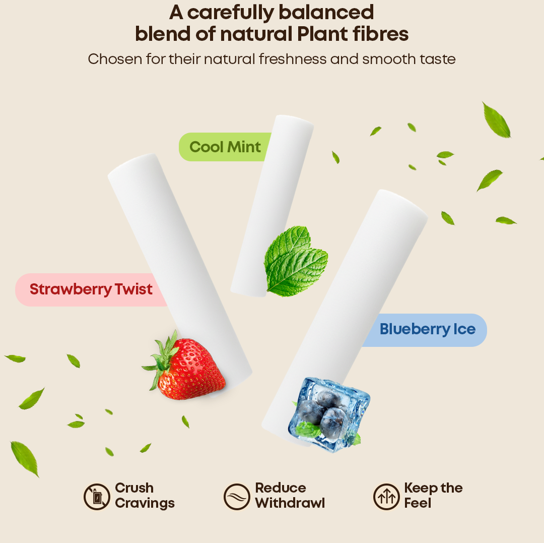Pure Flavor Refills