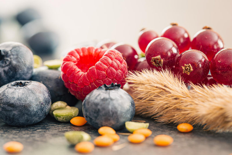 Flavonoids & Tannins