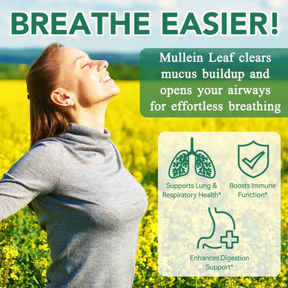 Mullein Gummies: Detox Your Lungs