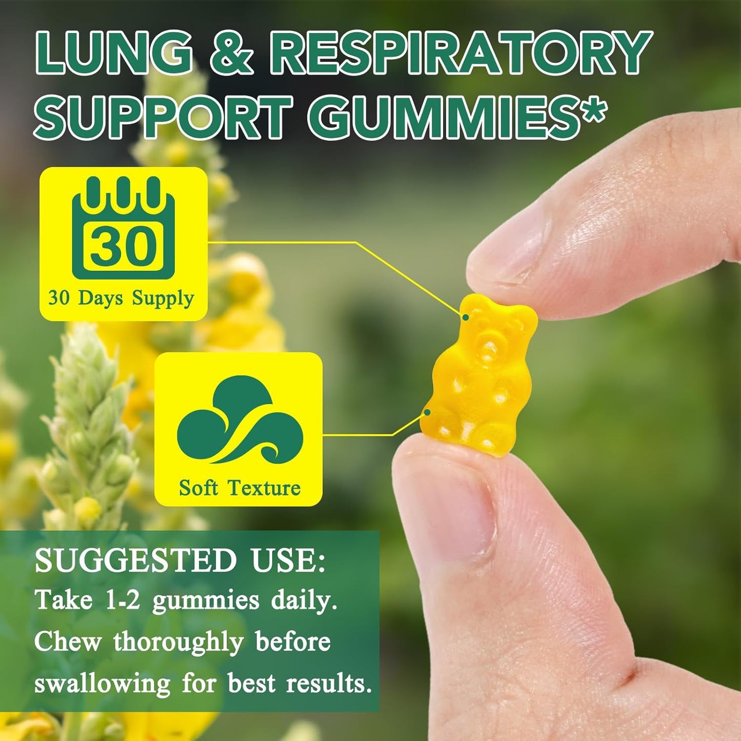 Mullein Gummies: Detox Your Lungs
